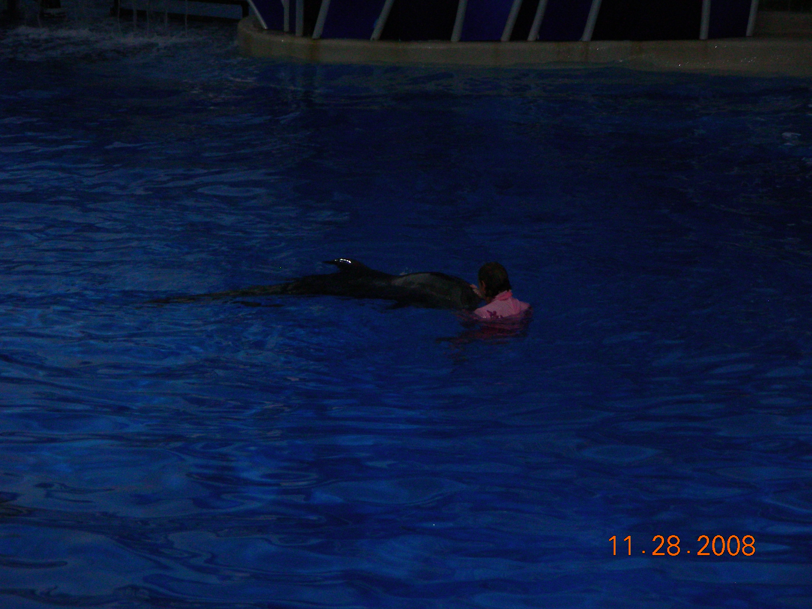 ./2008/Thanksgiving/Sea World/DSCN4626.JPG